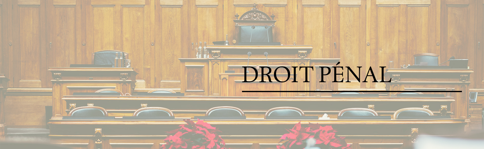 avocat nice-cabinet d avocat alpes maritimes-avocat penal nice-prud hommes nice-prejudice corporel cote d azur-avocate nice